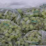 GTIN-7428630104685-02