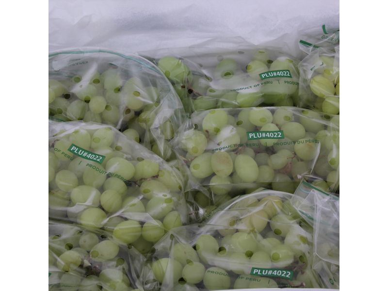 GTIN-7428630104685-02