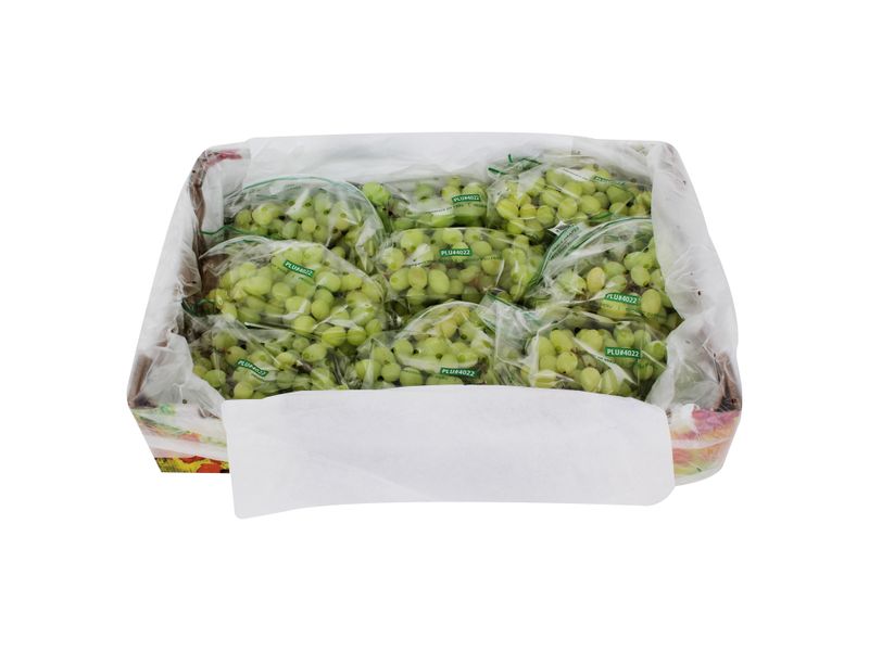 GTIN-7428630104685-01