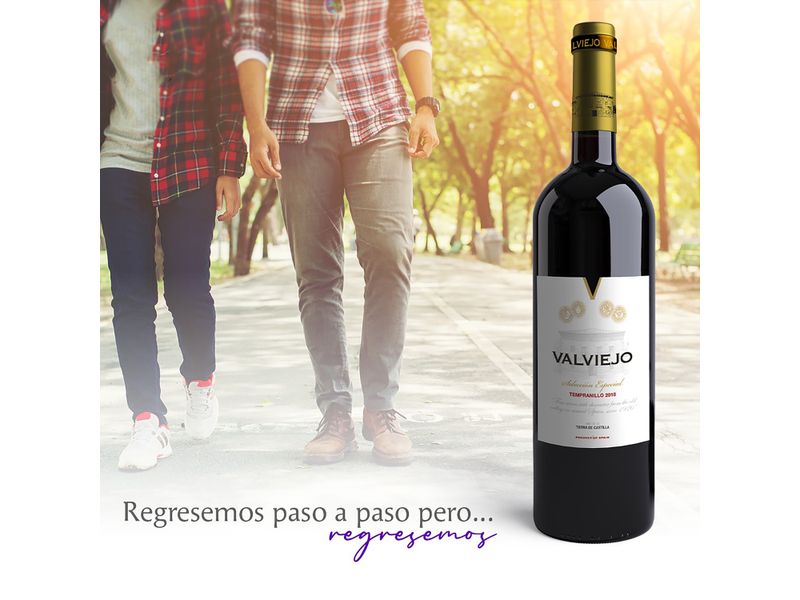 Vino-Valviejo-Tinto-Tempranillo-750Ml-4-13994