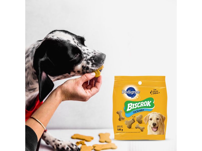 Snack-Para-Perro-Cachorro-Pedigree-100Gr-3-31882