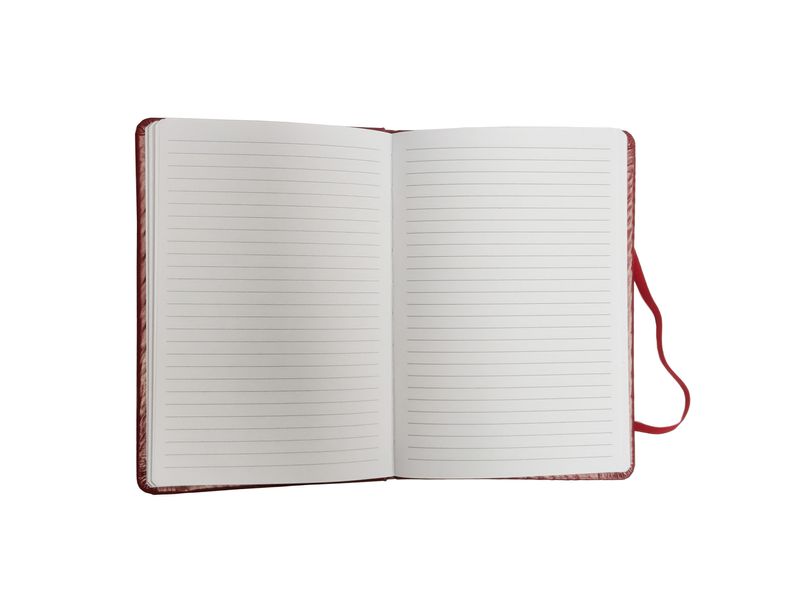 Set-de-Papeler-a-Harry-Potter-diario-y-bol-grafo-Modelo-DTHP2207-6-27502