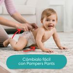 Pa-ales-Pampers-Cruisers-360-Pa-ales-s5-M-s-De-12kg-56-Uds-10-1567