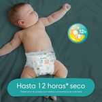 Pa-ales-Pampers-Cruisers-360-Pa-ales-s5-M-s-De-12kg-56-Uds-6-1567