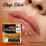 Protector-Chapstick-Classic-Original-4gr-3-33962