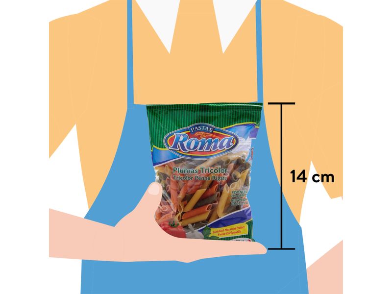 Pasta-Roma-Mediana-Pluma-Tricolor-250gr-3-4005