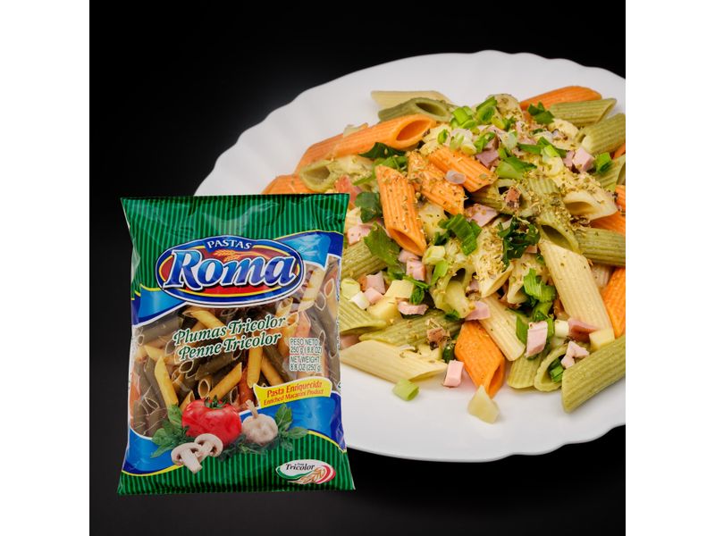 Pasta-Roma-Mediana-Pluma-Tricolor-250gr-4-4005