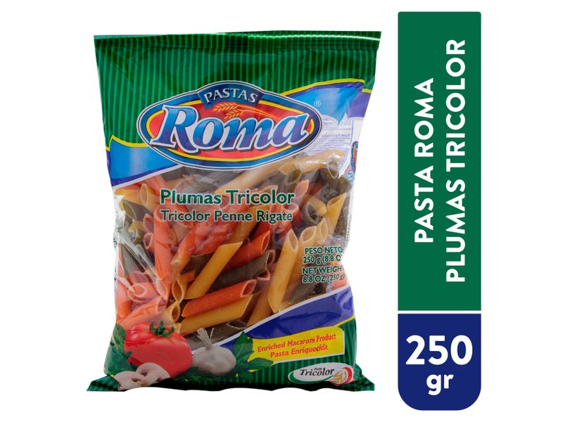 Pasta-Roma-Mediana-Pluma-Tricolor-250gr-1-4005