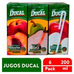 6Pack-Nectar-Ducal-Surtido-200Ml-1-22013