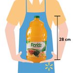 Bebida-Florida-Naranja-Pi-a-3785Ml-4-9588