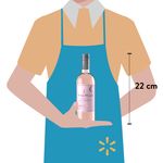 Vino-Vi-A-Maipo-Blush-12-750-ml-3-13539