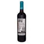 Vino-Tinto-Beso-Del-Vino-Syrahygarnacha-750ml-2-32019