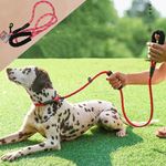 Correa-Ol-Roy-Suave-Colores-Para-Perro-4-24739