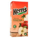 Nectar-Kerns-de-Manzana-1lt-2-22014