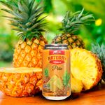 GTIN-0081537200743-04