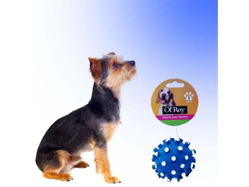 Juguete-Ol-Roy-Perro-Plastico-5-22426