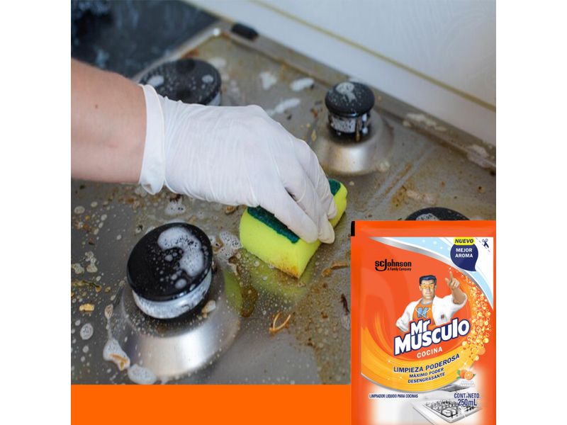 Desengrasante-Mr-Musculo-En-Bolsa-250Ml-18-Mx-4-11593