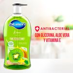 Jab-n-Blumen-Liquido-Kiwi-Botella-525ml-4-12351