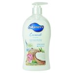 Jab-n-Blumen-Liquido-Coco-Botella-525ml-2-12352