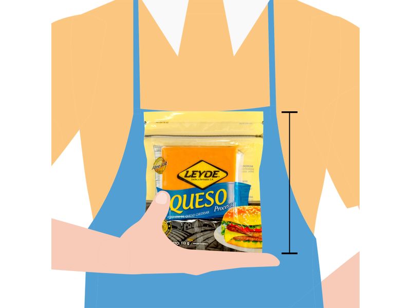 Queso-Leyde-Procesado-113Gr-3-4895