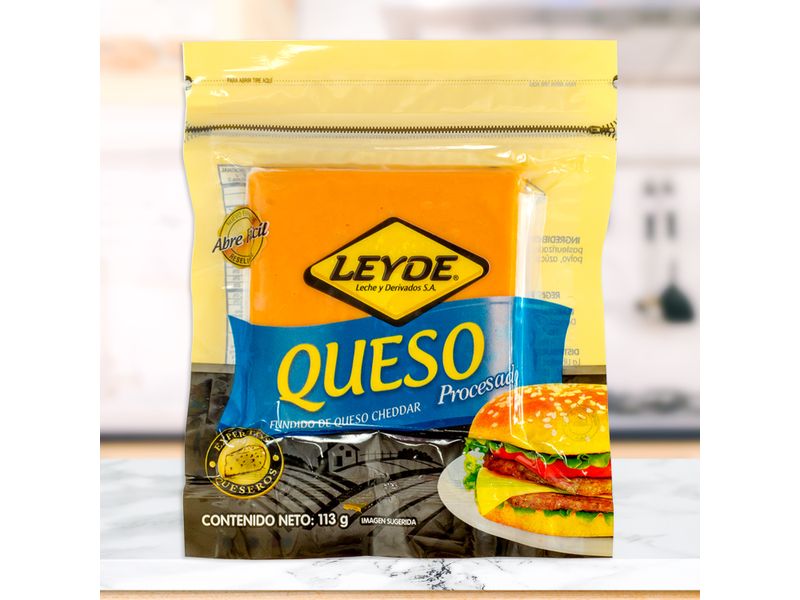 Queso-Leyde-Procesado-113Gr-4-4895