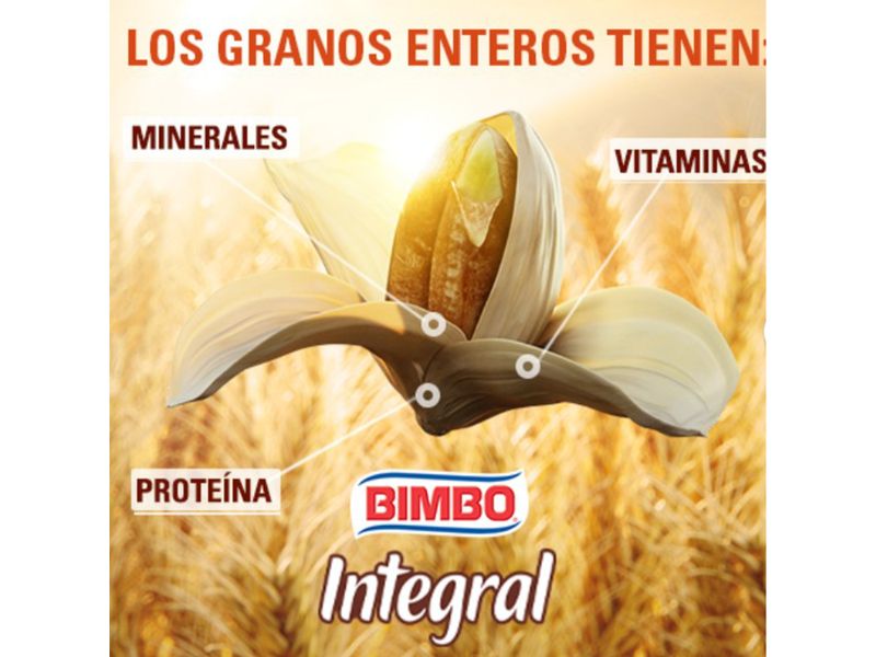 Pan-Bimbo-Sandwich-Integral-Fibra-Grano-Entero-530gr-4-10470