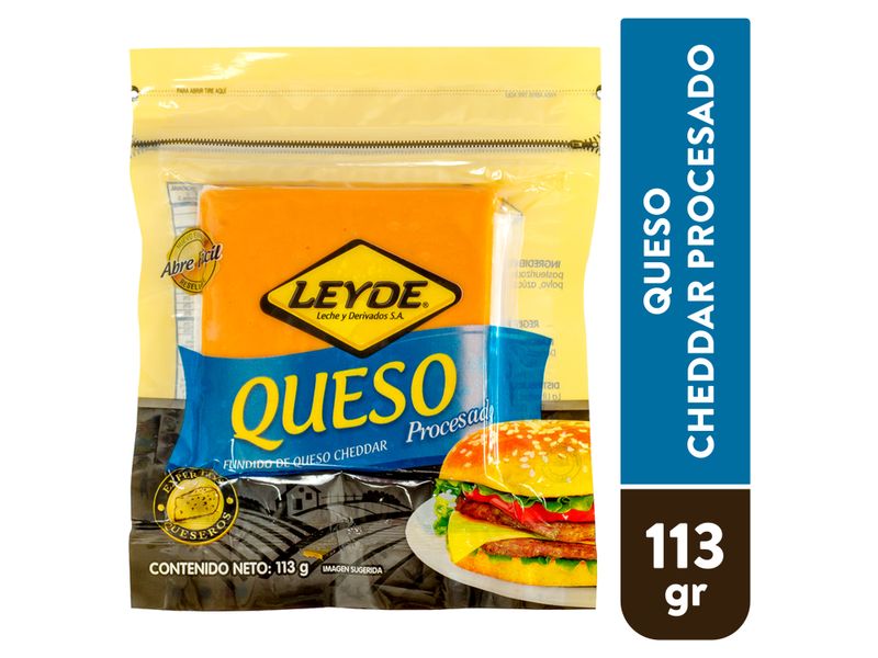 Queso-Leyde-Procesado-113Gr-1-4895