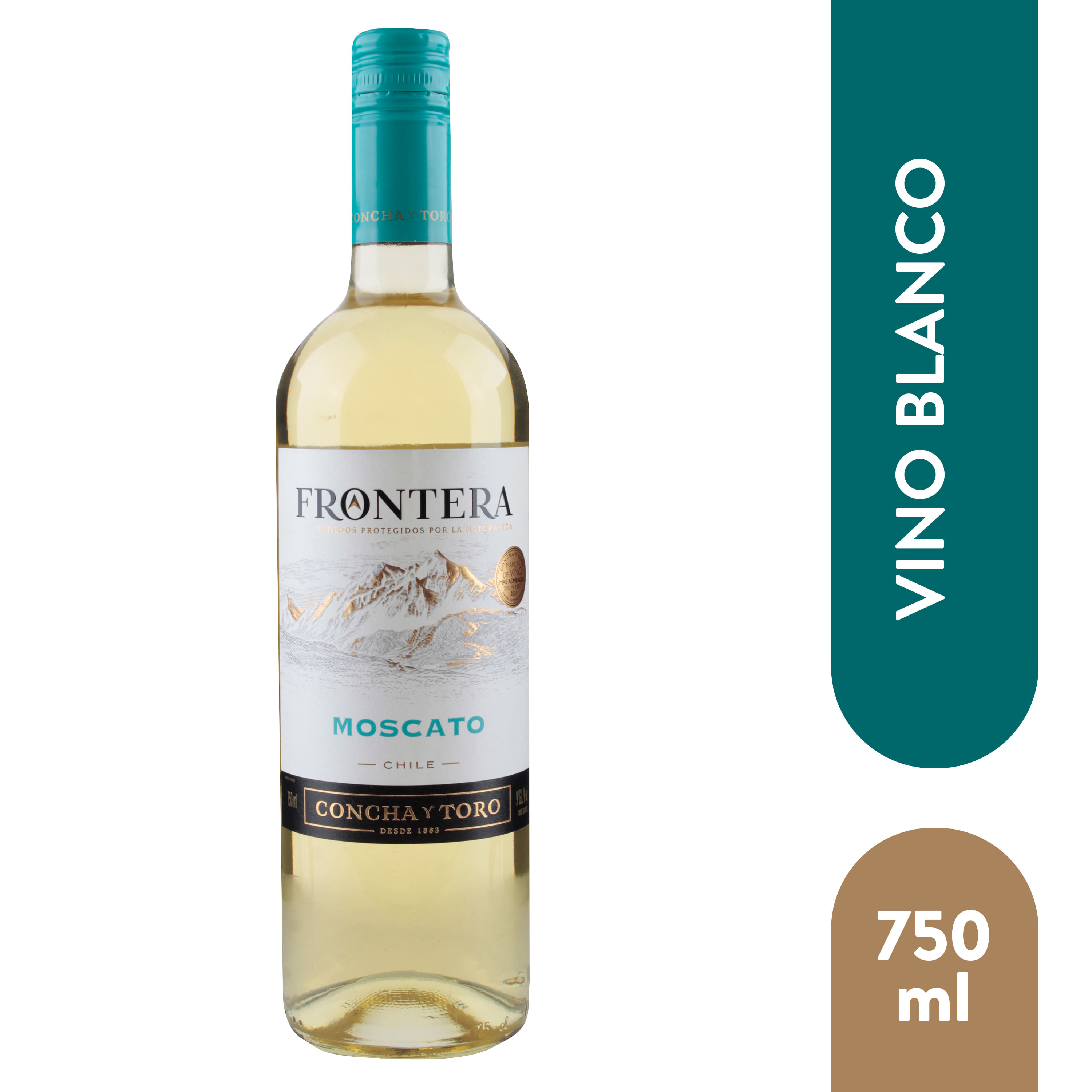 Vino-Frontera-Moscato-750-Ml-1-38913