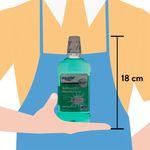 Enjuague-Bucal-Equate-Spring-Mint-500ml-4-3678