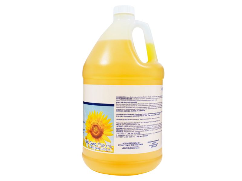 Jab-n-Liquido-Equate-Antibacterial-Aroma-Campos-De-Girasol-3785-Ml-3-20041