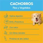 Alimento-Pedigree-Perro-Cachorro-Sano-4000gr-4-1273