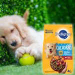 Alimento-Pedigree-Perro-Cachorro-Sano-4000gr-10-1273