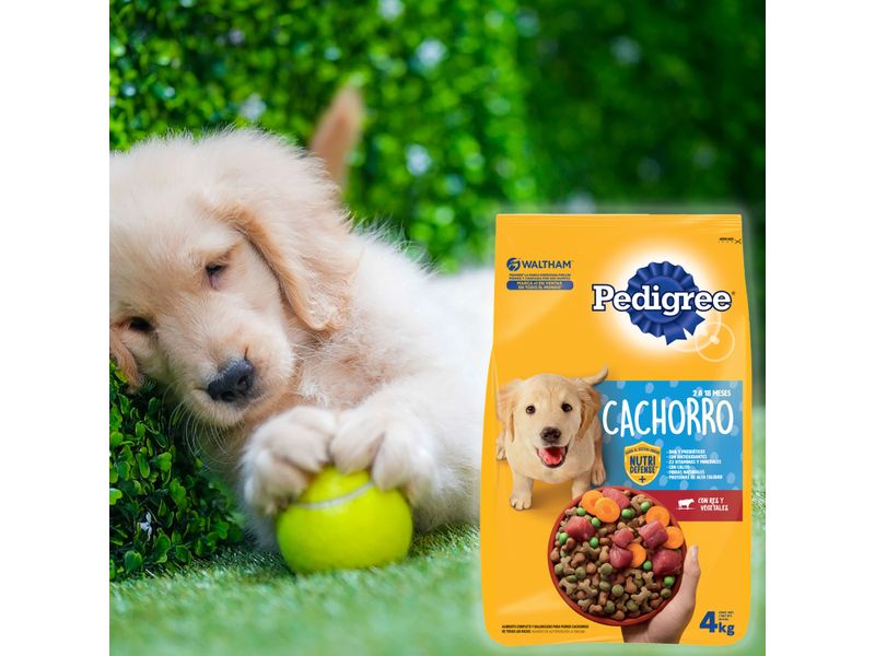 Alimento-Pedigree-Perro-Cachorro-Sano-4000gr-10-1273