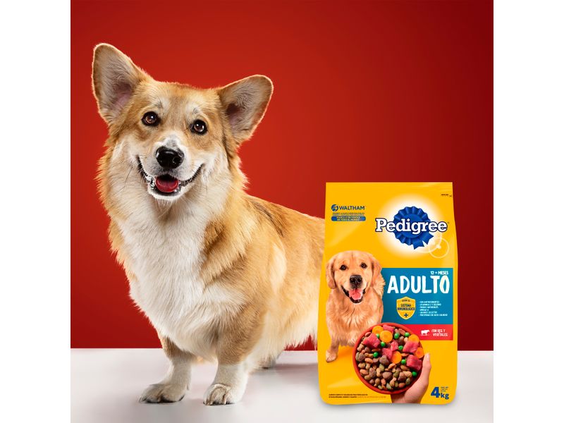 Comida-Pedigree-Perro-Adulto-Nutrition-4kg-11-1275