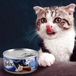 Alimento-Para-Gato-Felix-Sabor-Pate-Pescado-En-Salsa-Lata-156gr-7-16517