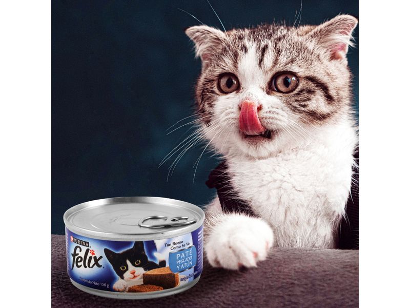 Alimento-Para-Gato-Felix-Sabor-Pate-Pescado-En-Salsa-Lata-156gr-7-16517