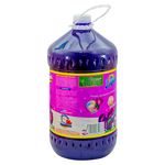 Desinfectante-Limpiox-Lavanda-5000Ml-2-8836