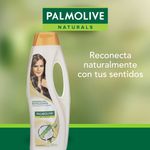 Shampoo-Palmolive-Naturals-Coco-Bambu-750ml-8-27277