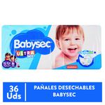 Pa-al-Babysec-Ultra-Master-Talla-Xg-36-Unidades-1-12302