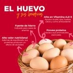 Huevo-Blanco-Don-Cristobal-Tama-o-Grande-Carton-60-Uds-4-9833