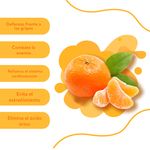 Mandarina-Clementina-Libra-3-39