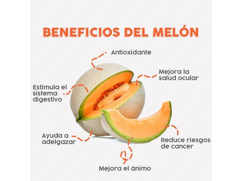 Melon-Hortifruti-Tipo-Cantaloupe-Precio-Por-Unidad-3-51