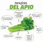 Apio-Mazo-Nacional-4-55