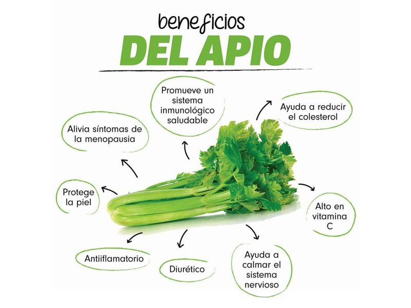 Apio-Mazo-Nacional-4-55