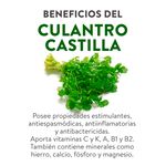 Culantro-Castilla-Mazo-unidad-3-87