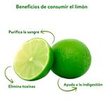 Limon-Hortifruti-Tipo-Persa-Empacado-En-Red-10-Unidades-3-10073