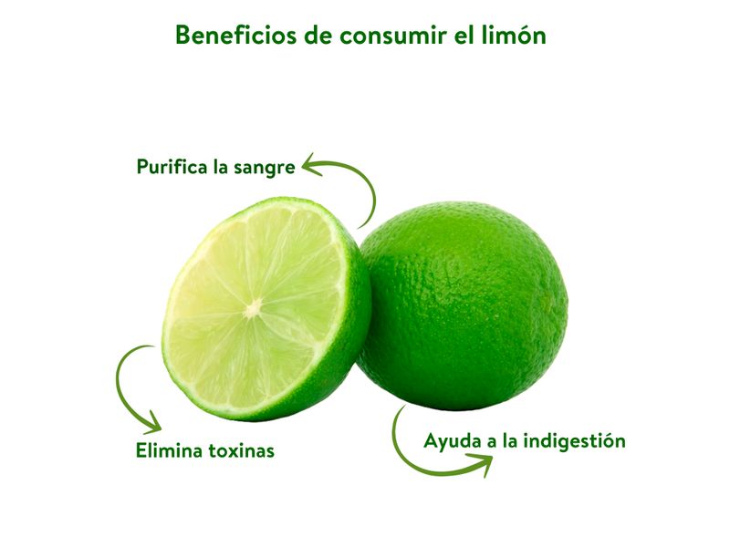 Limon-Hortifruti-Tipo-Persa-Empacado-En-Red-10-Unidades-3-10073