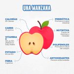 Manzana-Gala-Red-8-Unidades-3-10094