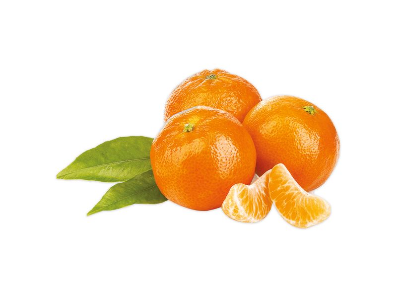 Mandarina-Clementina-Libra-1-39