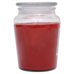 Vela-Aromatica-George-Home-Spiced-Apple-18oz-2-5176